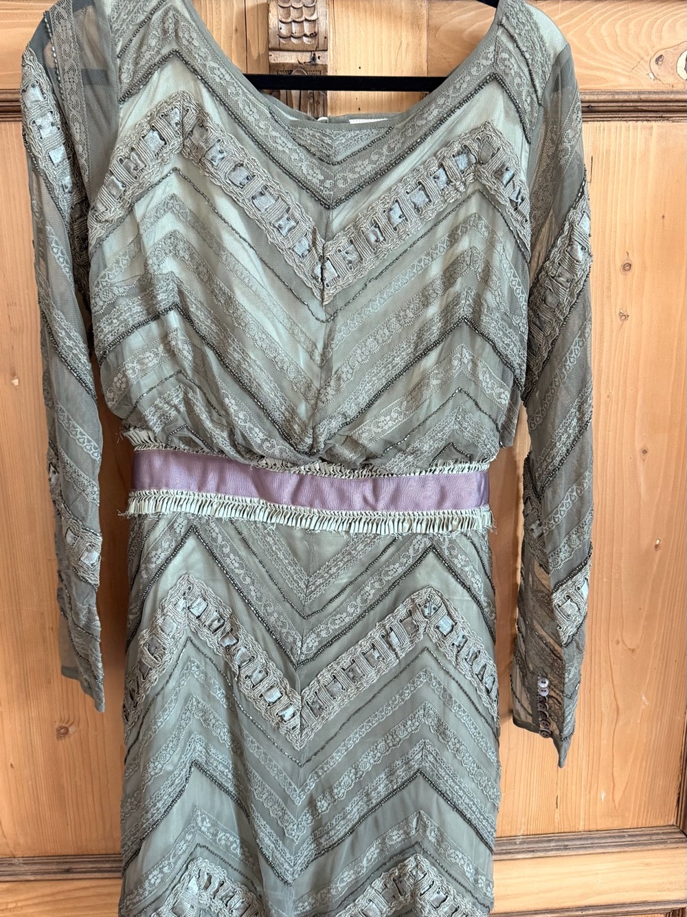 NWOT Free People Sage Green Long Sleeve Embroidered Dress **RARE